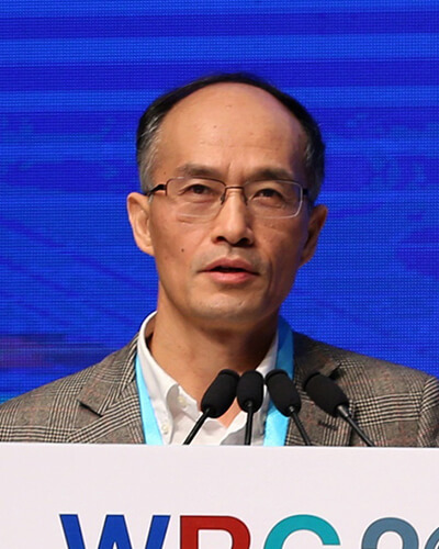 WANG Feiyue